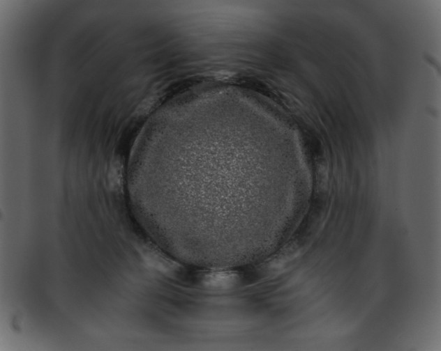 X0000095670274200801221210