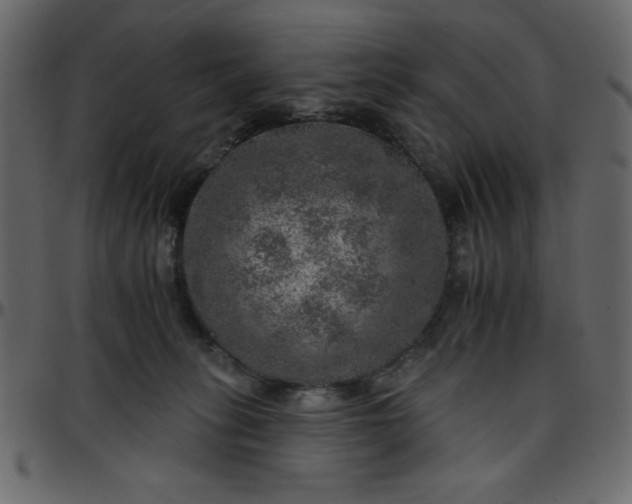 X0000095670275200801221210