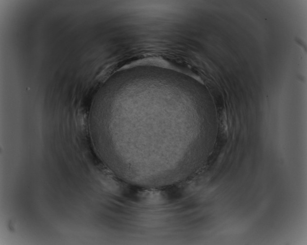 X0000095670276200801221210