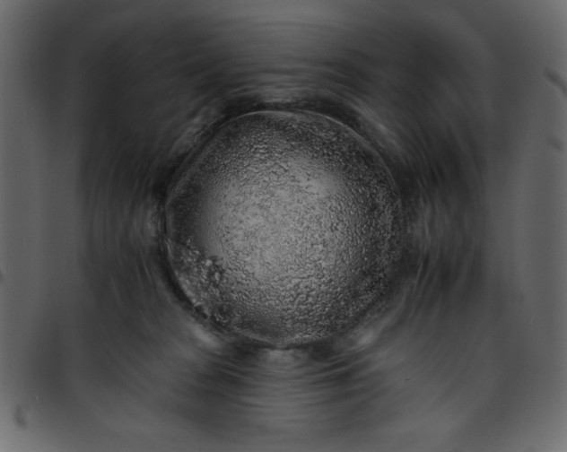 X0000095670277200801221210