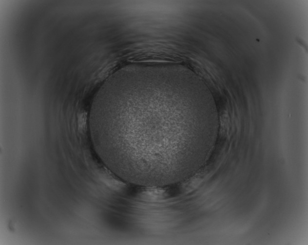 X0000095670278200801221210