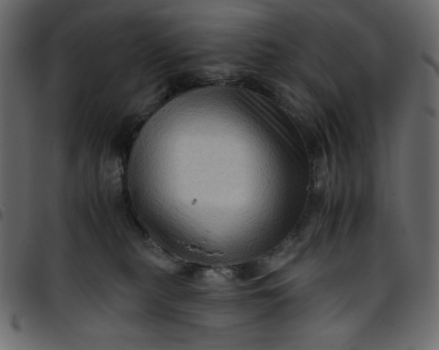 X0000095670279200801221210