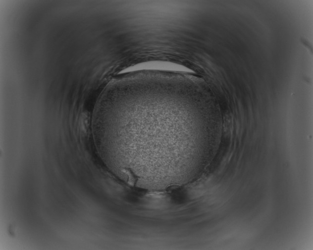 X0000095670280200801221210