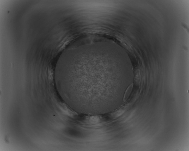 X0000095670282200801221210