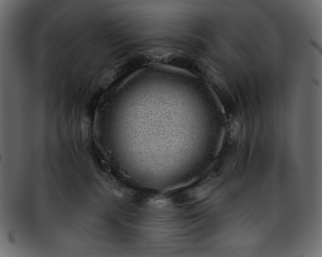 X0000095670283200801221210