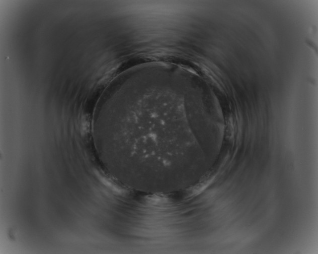 X0000095670284200801221210