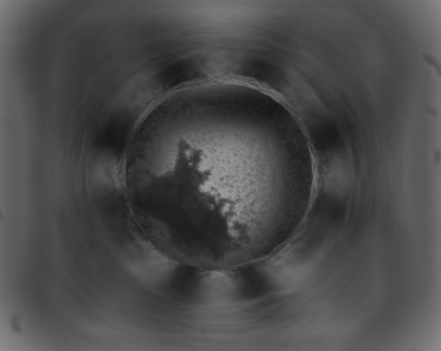 X0000095670285200801221211