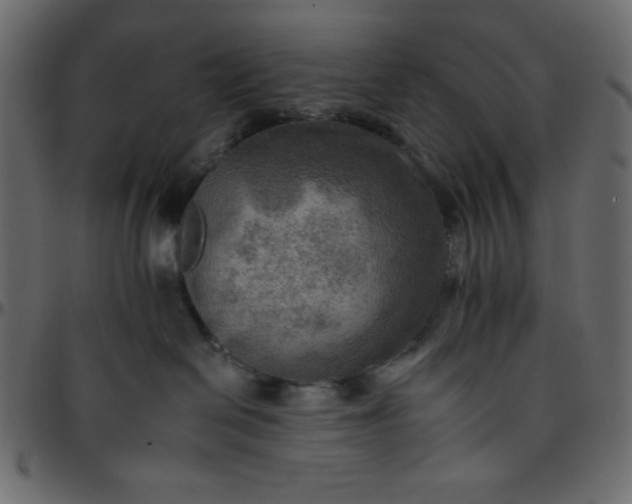 X0000095670286200801221211