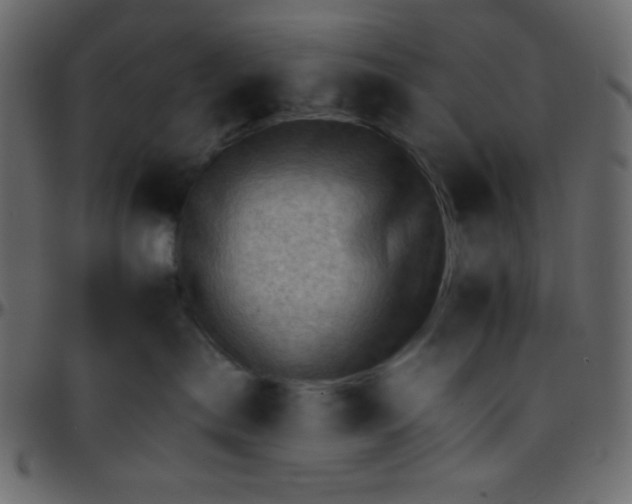 X0000095670287200801221211