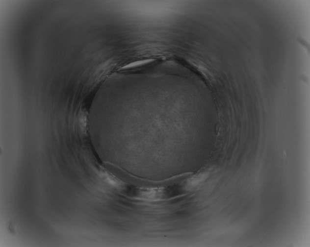 X0000095670288200801221211