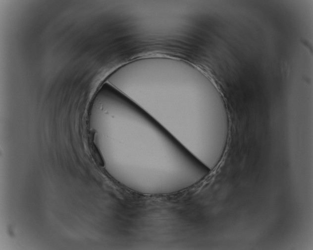 X0000095670289200801221210