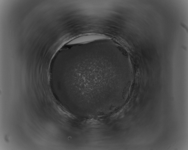 X0000095670290200801221210