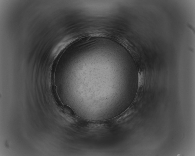 X0000095670291200801221210