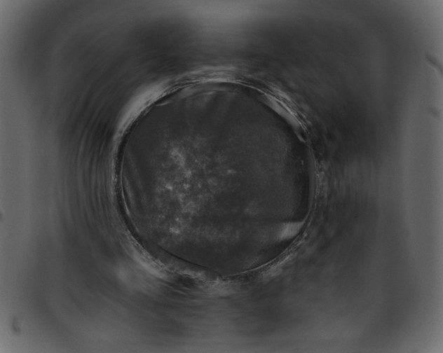 X0000095670293200801221210