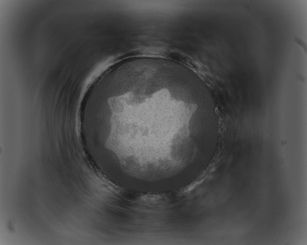 X0000095670294200801221210