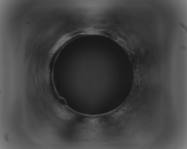 X0000095670295200801221210