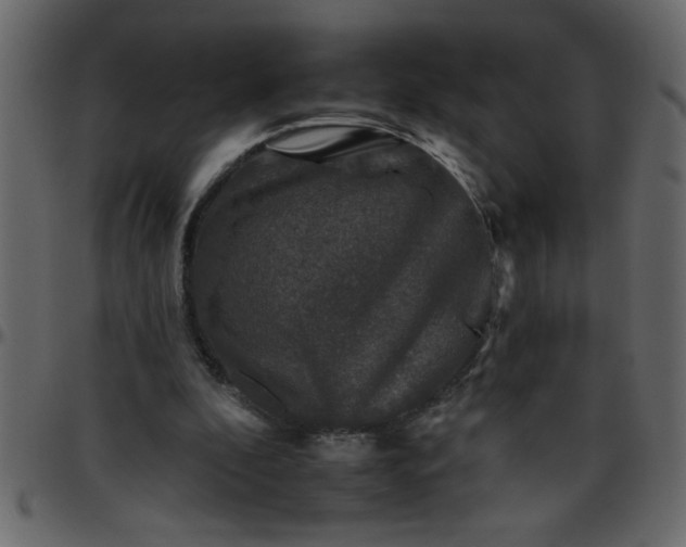 X0000095670296200801221210