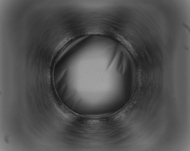 X0000095670298200801221210