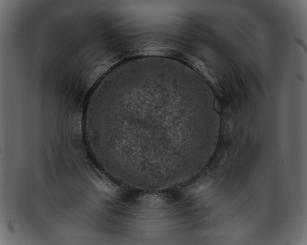 X0000095670299200801221210