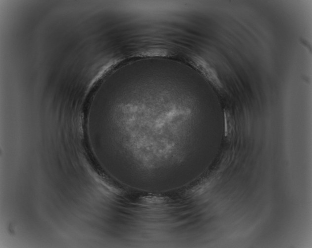 X0000095670300200801221210