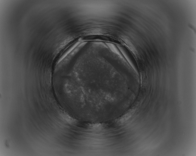 X0000095670301200801221210