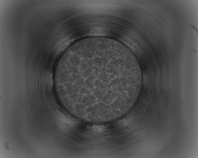 X0000095670302200801221210