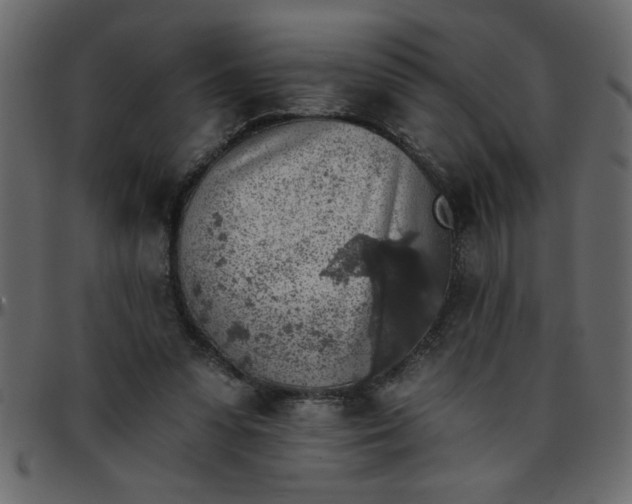 X0000095670303200801221210