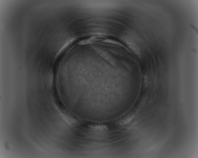 X0000095670304200801221210