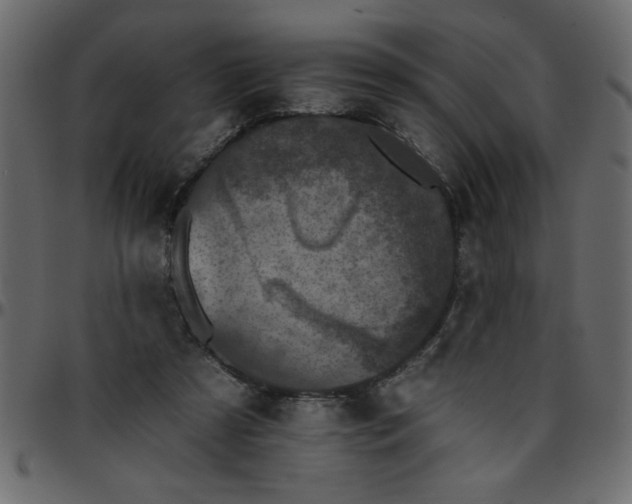 X0000095670305200801221210