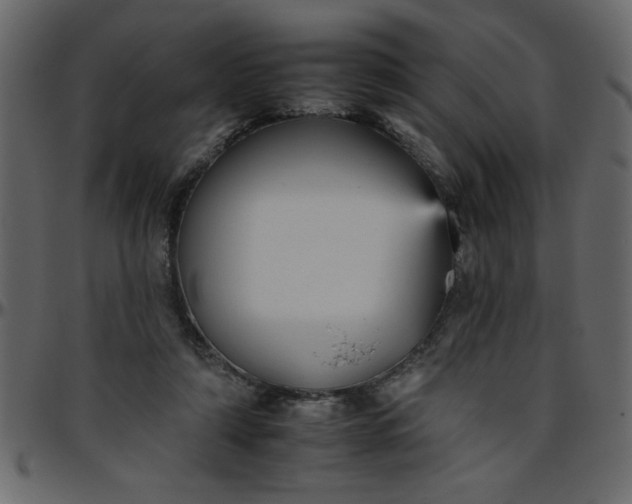 X0000095670306200801221210