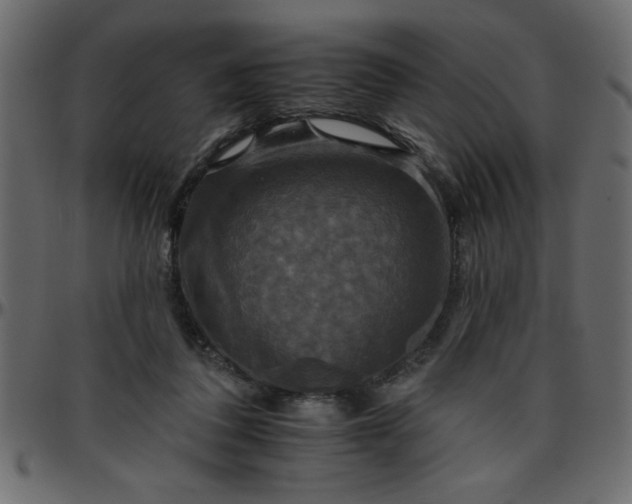 X0000095670308200801221210