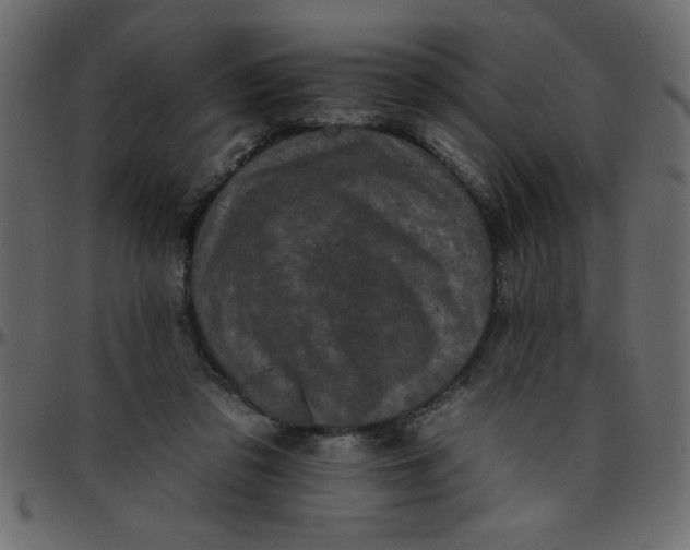 X0000095670309200801221210