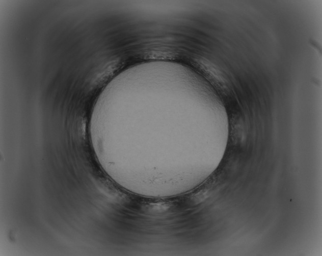 X0000095670310200801221210