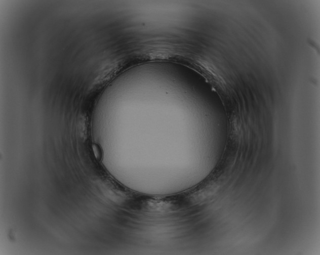 X0000095670311200801221210