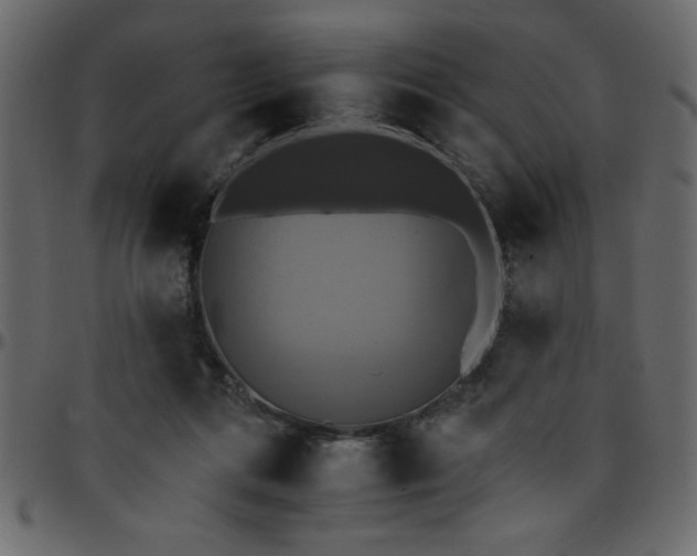 X0000095670312200801221210