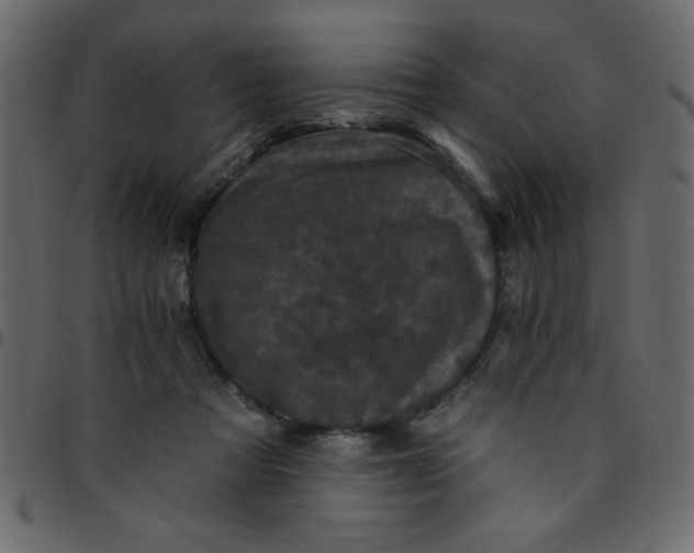 X0000095670313200801221210