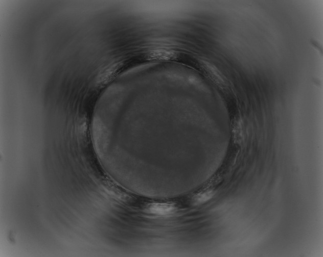 X0000095670314200801221210