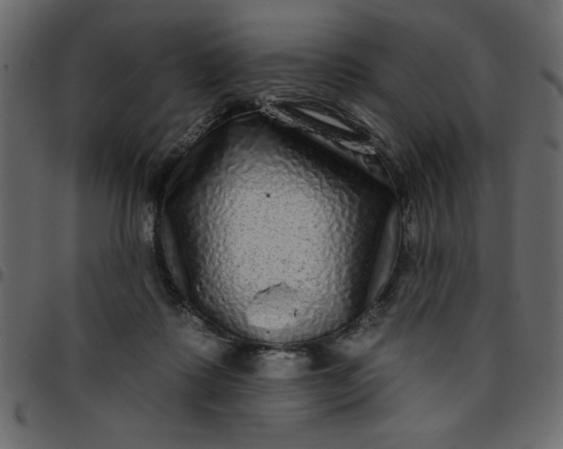 X0000095670315200801221210