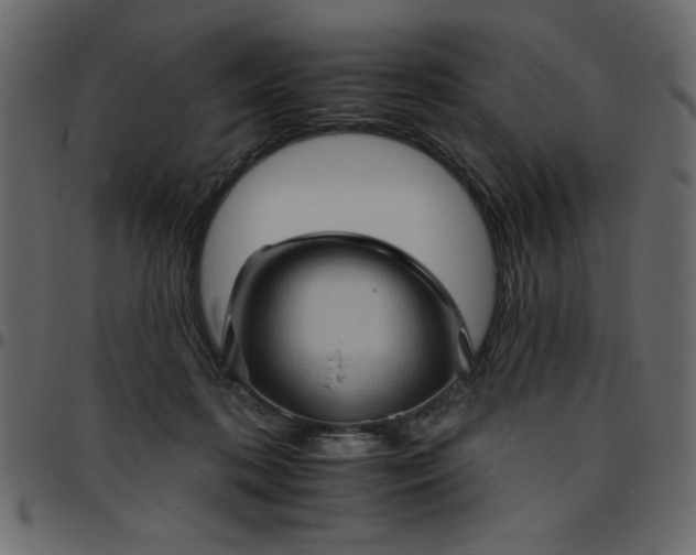 X0000095670316200801221210