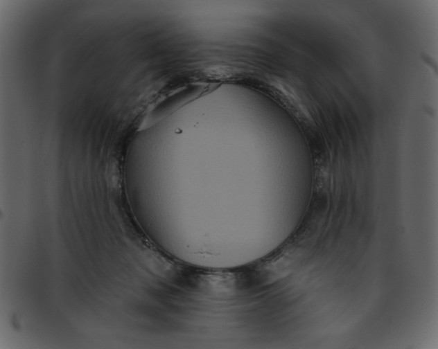 X0000095670317200801221210