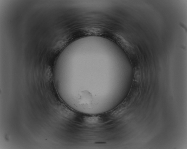 X0000095670318200801221210