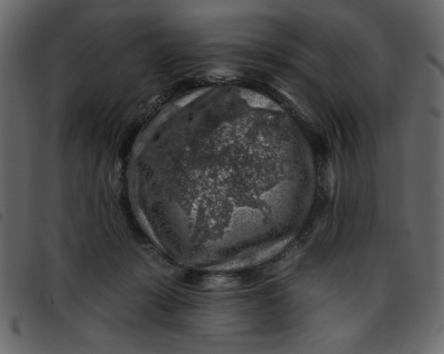 X0000095670319200801221209