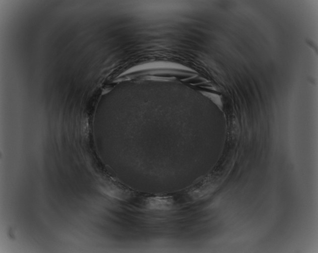 X0000095670320200801221209