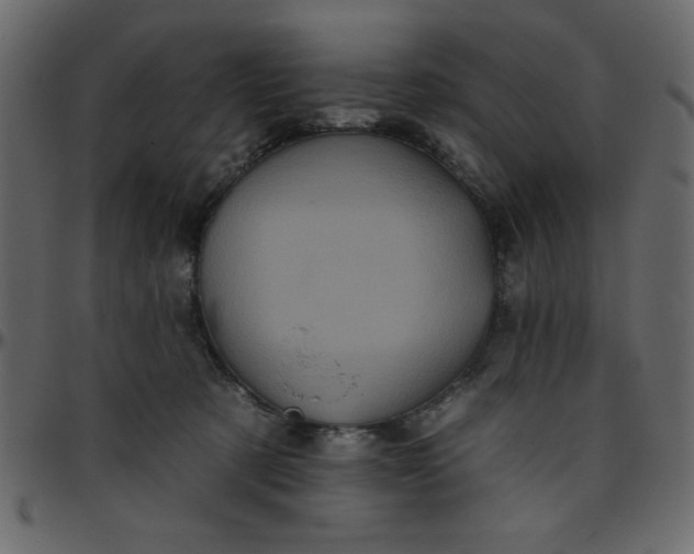 X0000095670321200801221209