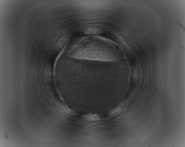 X0000095670322200801221209