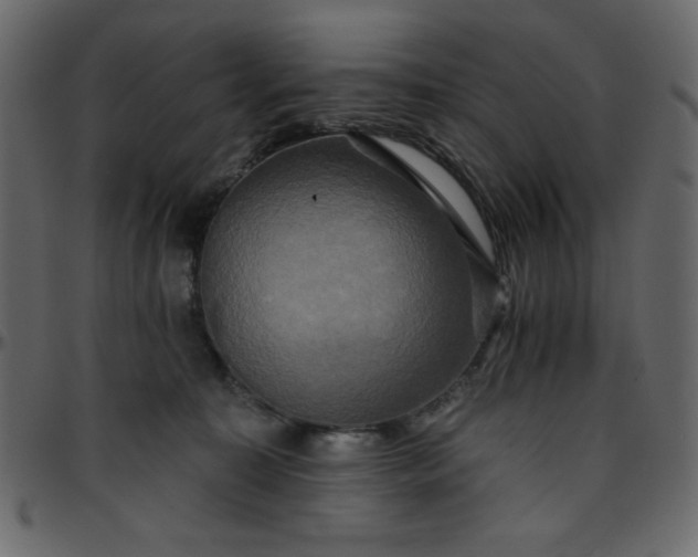 X0000095670323200801221209