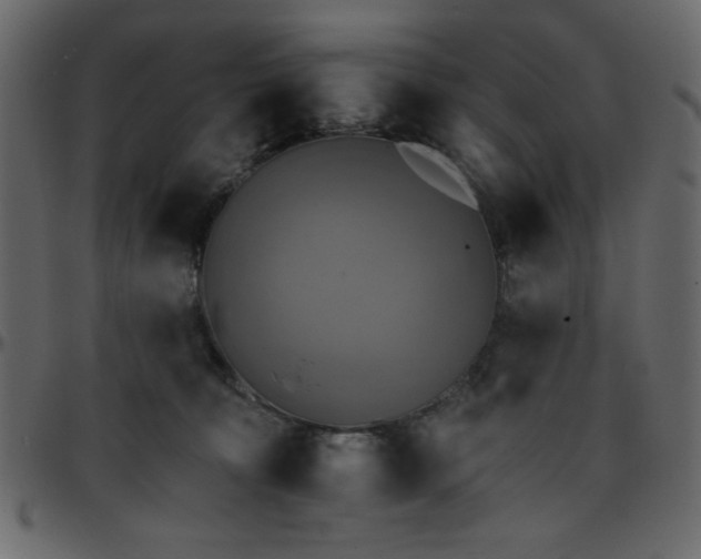 X0000095670324200801221209