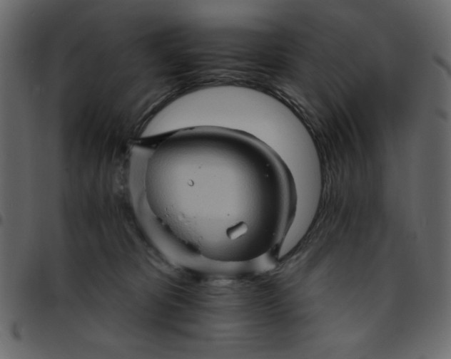 X0000095670325200801221209