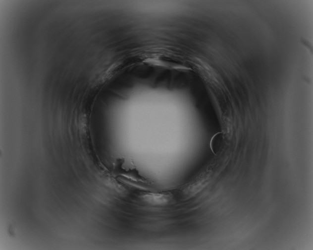 X0000095670326200801221209