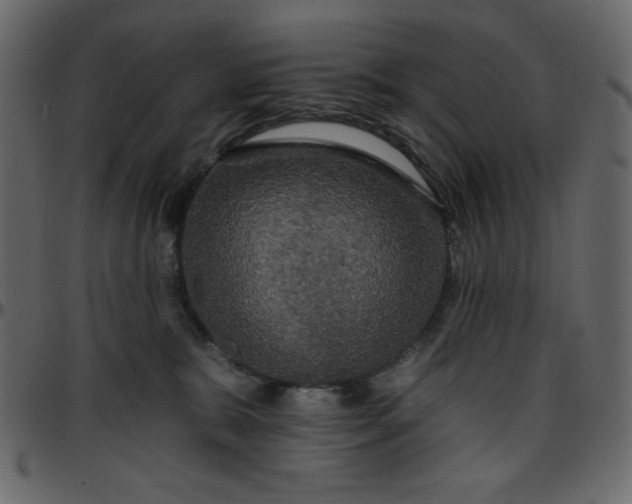 X0000095670327200801221209